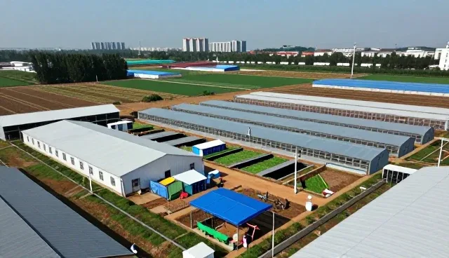 网站维护中的常见误区与优化建议